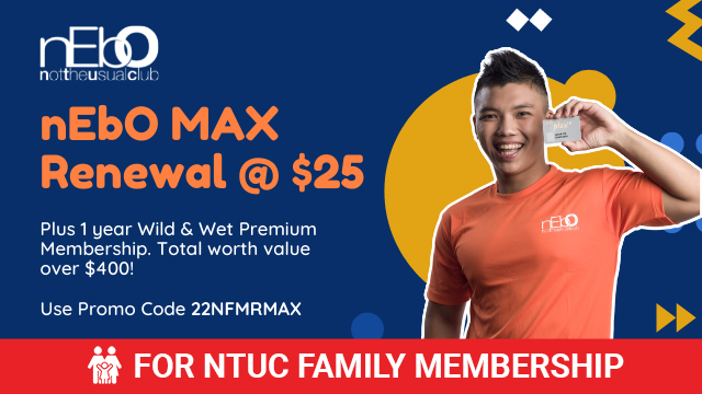 nEBo MAX renewal @ $25
