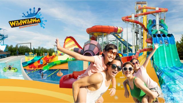 Wild Wild Wet poster